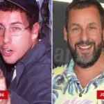 Adam Sandiner bons testes ou bons documentos?!