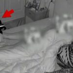 Todas as noites de uma mulher com uma mulher, veja um vídeo assustador