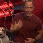 ‘Memm quando o cachorro vem do nosso “artista”?