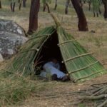‘A primavera é “antigo filme antigo” irracional e “entra nas histórias” (trailer exclusivo)