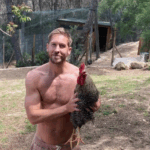 A graça de um vizinho começa depois que Calvin Harris diz que suas galinhas são mortas pelos ‘cães’ dos cães