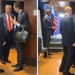 Vladimir Punding pernas rolou em Trump Bitmit Bitties de problemas de saúde