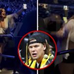 Theo von mostra todos os vídeos cinzentos